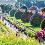 Dubai-Miracle-Garden-1-1030x538-1